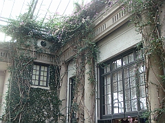 252 Longwood Gardens [2008 August 23]